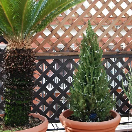 Διαμέρισμα Terrazza128 *