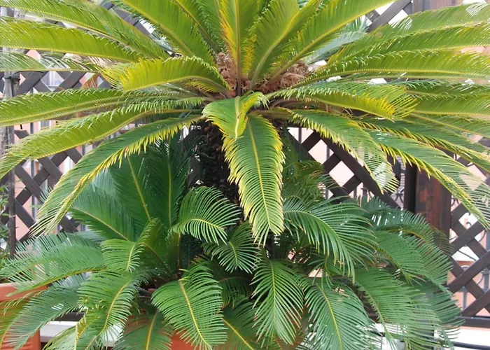 Terrazza128 * Бари